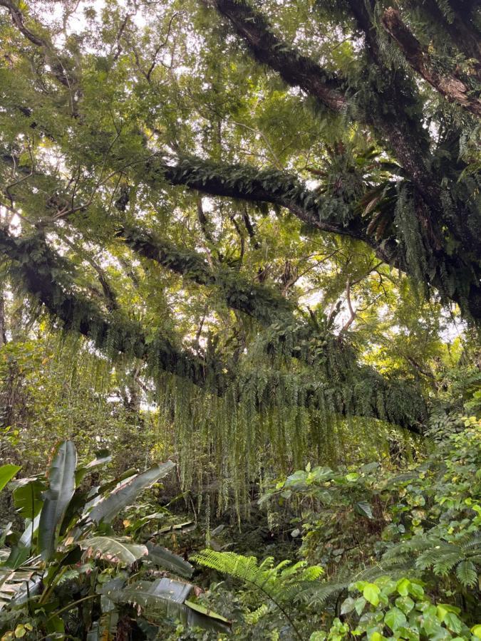 Naveria Heights Lodge Savusavu Eksteriør bilde